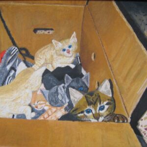 גורי חתולים 