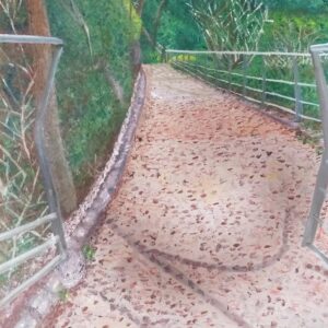 הדרך להרי הגליל