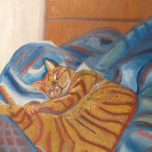 חתולה בתקופת הקורונה